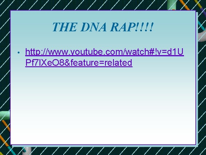 THE DNA RAP!!!! • http: //www. youtube. com/watch#!v=d 1 U Pf 7 l. Xe. THE DNA RAP!!!! • http: //www. youtube. com/watch#!v=d 1 U Pf 7 l. Xe.