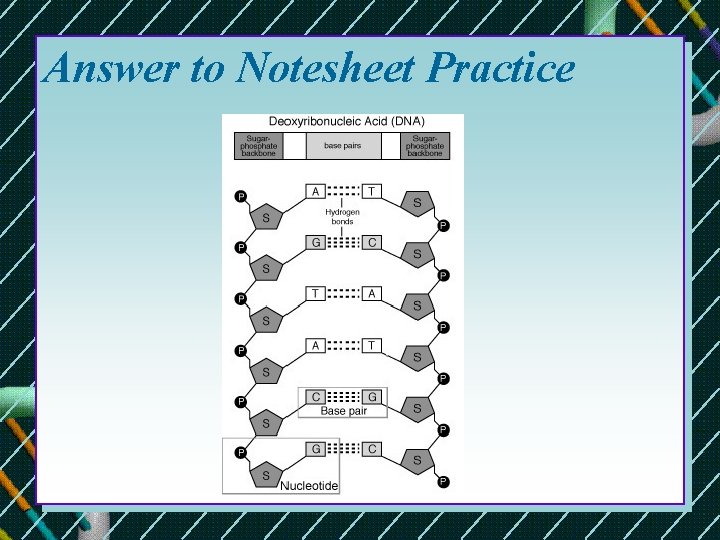 Answer to Notesheet Practice  Answer to Notesheet Practice
