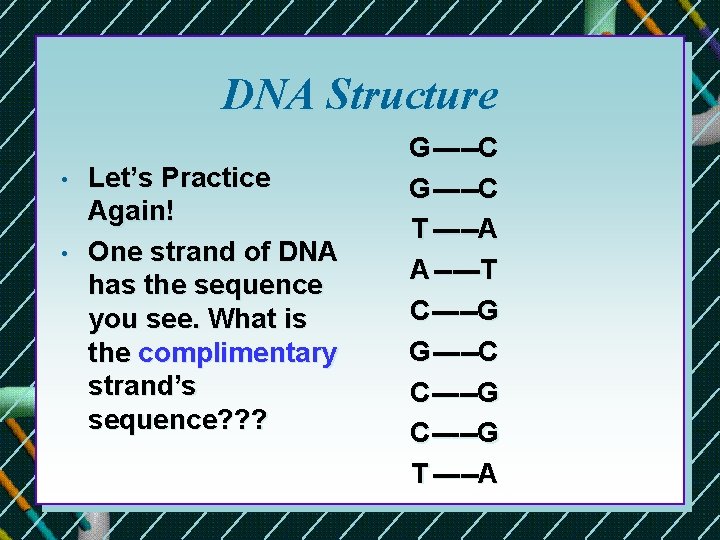 DNA Structure • • Let’s Practice Again! One strand of DNA has the sequence DNA Structure • • Let’s Practice Again! One strand of DNA has the sequence