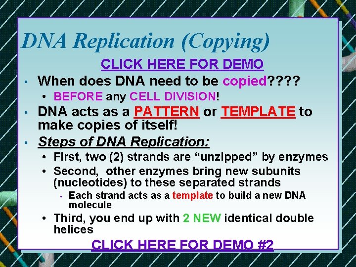 DNA Replication (Copying) • CLICK HERE FOR DEMO When does DNA need to be DNA Replication (Copying) • CLICK HERE FOR DEMO When does DNA need to be