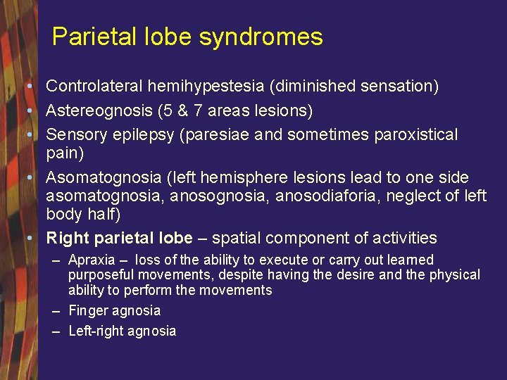 Parietal lobe syndromes • Controlateral hemihypestesia (diminished sensation) • Astereognosis (5 & 7 areas