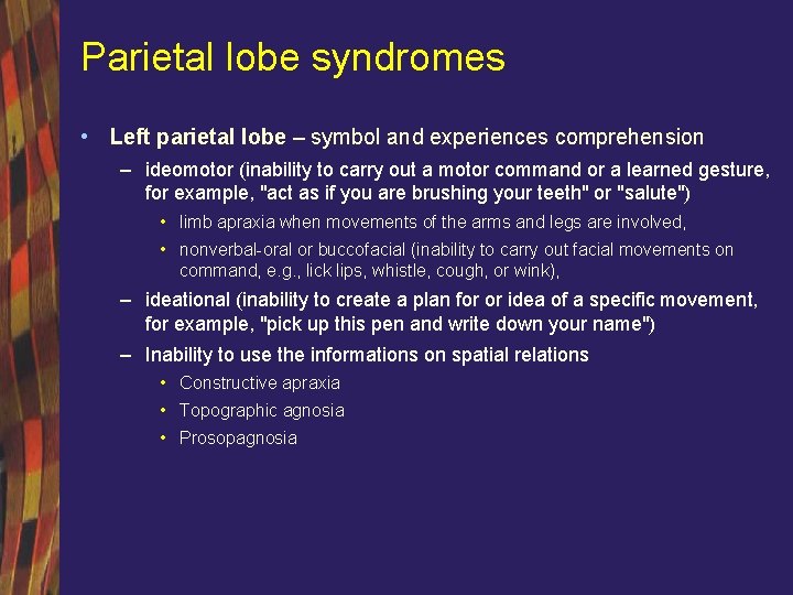 Parietal lobe syndromes • Left parietal lobe – symbol and experiences comprehension – ideomotor