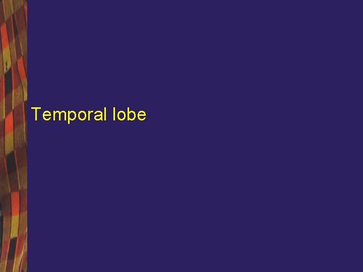 Temporal lobe 