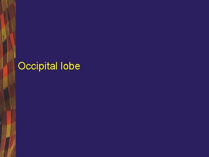 Occipital lobe 