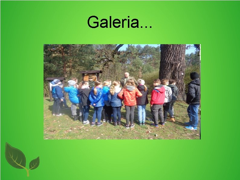 Galeria. . . 