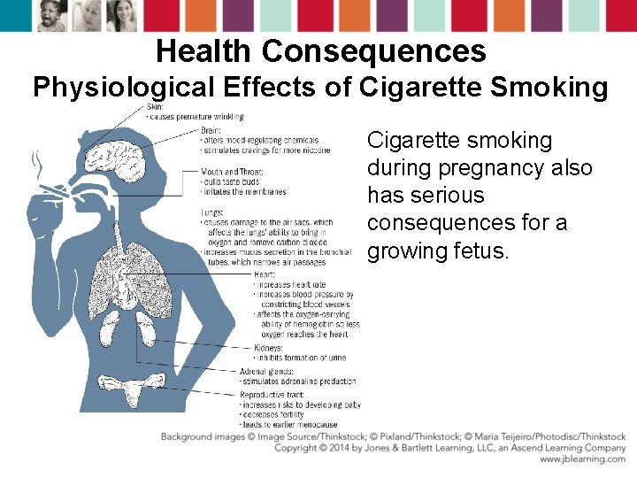 Health Consequences Physiological Effects of Cigarette Smoking Cigarette smoking during pregnancy also has serious