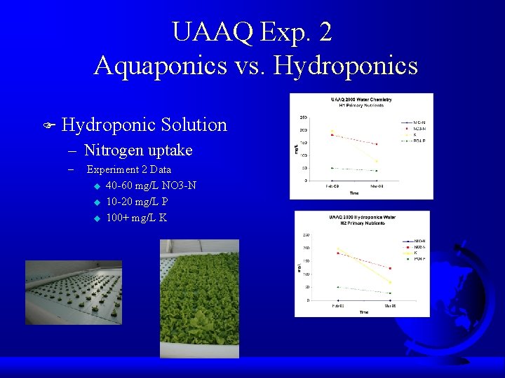 UAAQ Exp. 2 Aquaponics vs. Hydroponics F Hydroponic Solution – Nitrogen uptake – Experiment