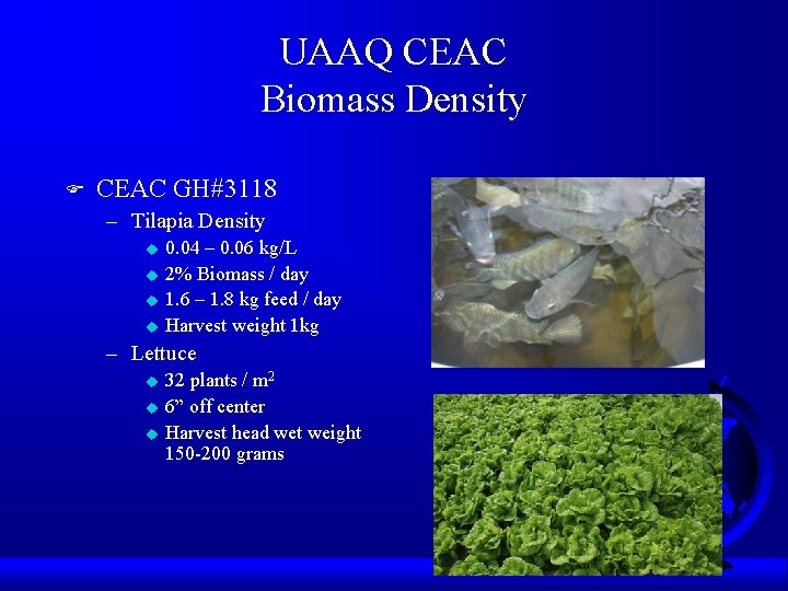 UAAQ CEAC Biomass Density F CEAC GH#3118 – Tilapia Density u u 0. 04