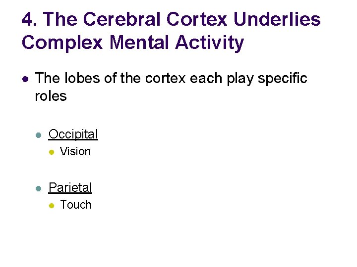 4. The Cerebral Cortex Underlies Complex Mental Activity l The lobes of the cortex