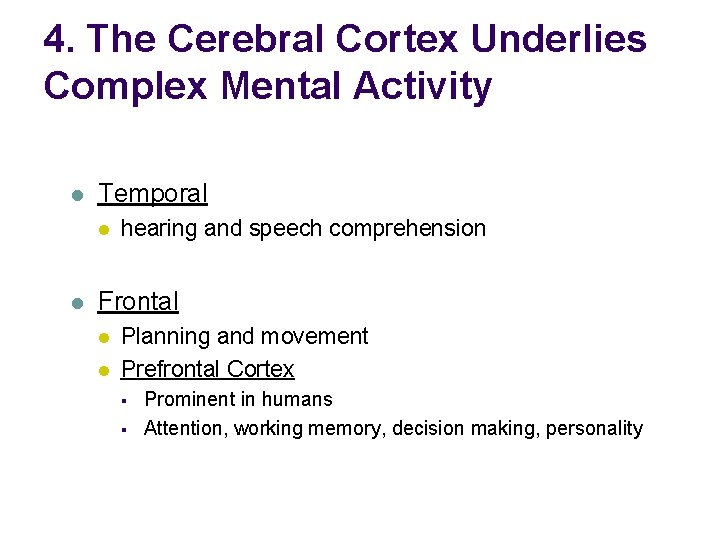 4. The Cerebral Cortex Underlies Complex Mental Activity l Temporal l l hearing and