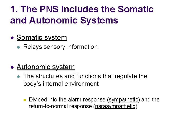 1. The PNS Includes the Somatic and Autonomic Systems l Somatic system l l