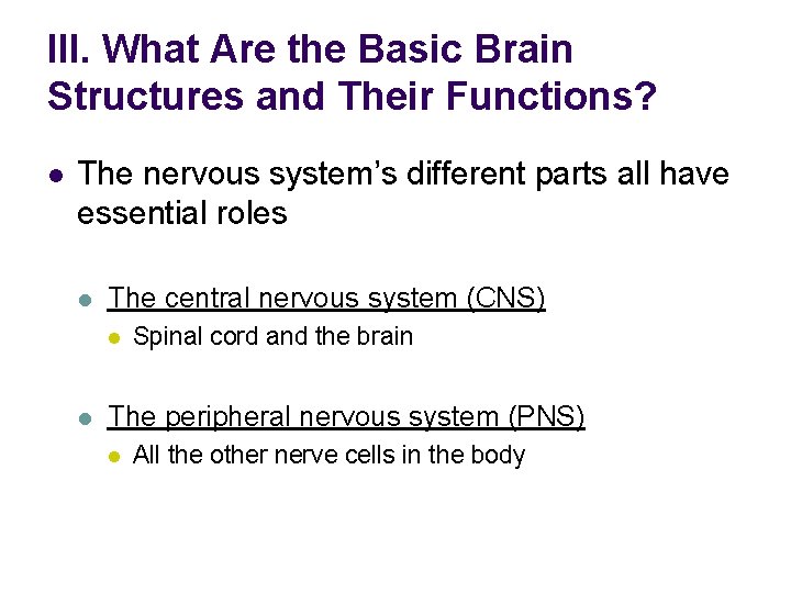 III. What Are the Basic Brain Structures and Their Functions? l The nervous system’s