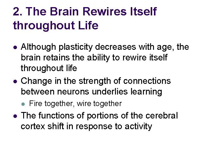 2. The Brain Rewires Itself throughout Life l l Although plasticity decreases with age,