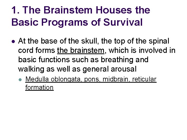 1. The Brainstem Houses the Basic Programs of Survival l At the base of
