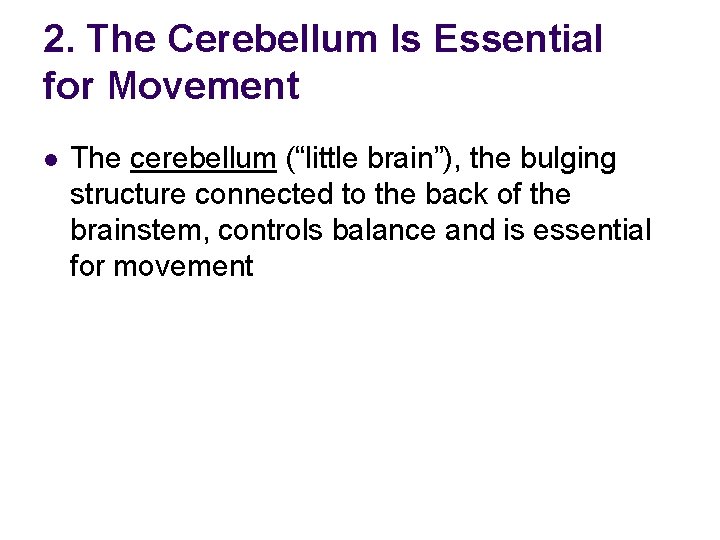 2. The Cerebellum Is Essential for Movement l The cerebellum (“little brain”), the bulging