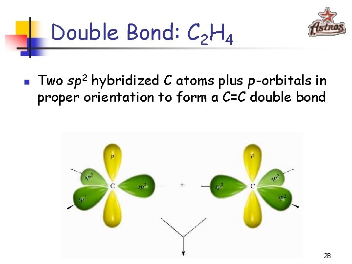 Double Bond: C 2 H 4 n Two sp 2 hybridized C atoms plus