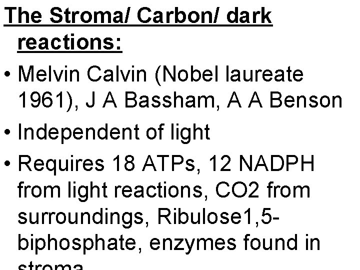 The Stroma/ Carbon/ dark reactions: • Melvin Calvin (Nobel laureate 1961), J A Bassham,
