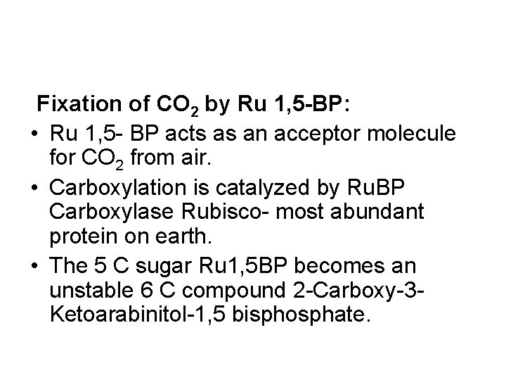 Fixation of CO 2 by Ru 1, 5 -BP: • Ru 1, 5 -