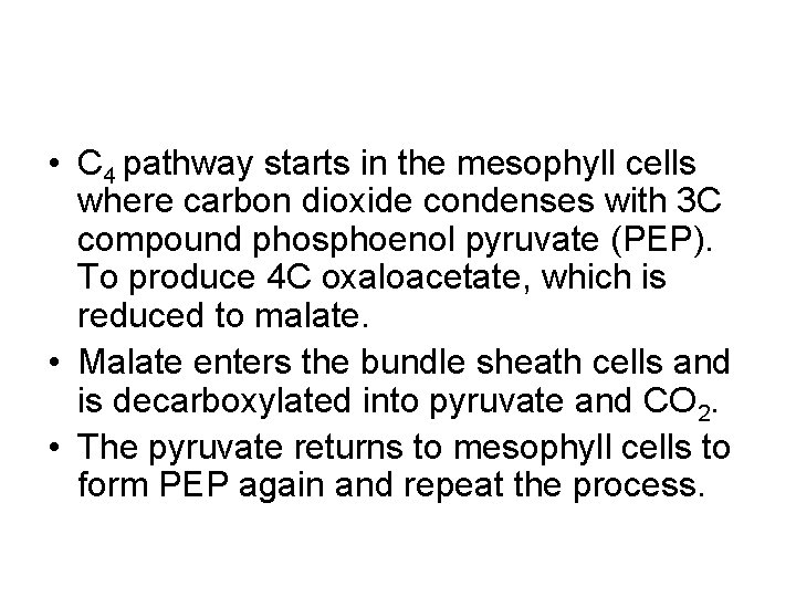 • C 4 pathway starts in the mesophyll cells where carbon dioxide condenses