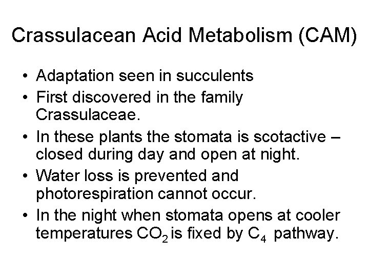 Crassulacean Acid Metabolism (CAM) • Adaptation seen in succulents • First discovered in the