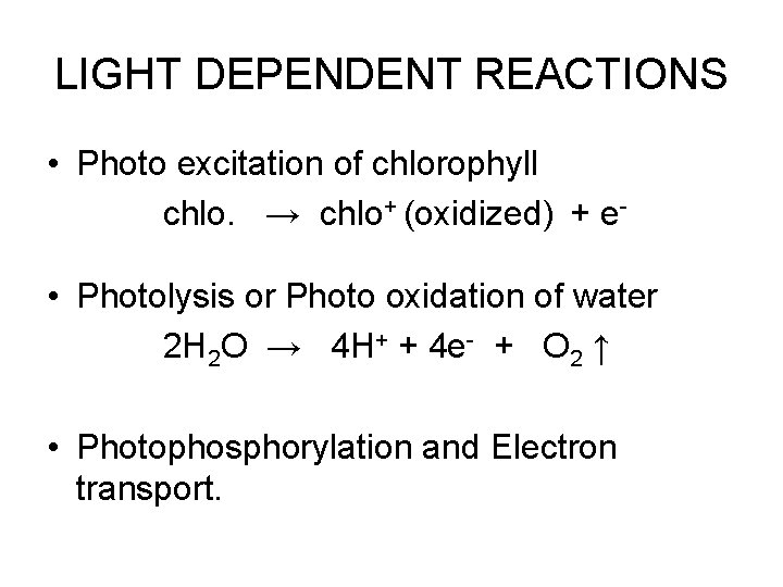 LIGHT DEPENDENT REACTIONS • Photo excitation of chlorophyll chlo. → chlo+ (oxidized) + e