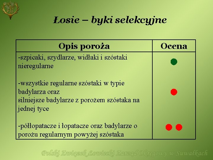 Łosie – byki selekcyjne Opis poroża -szpicaki, szydlarze, widłaki i szóstaki nieregularne -wszystkie regularne