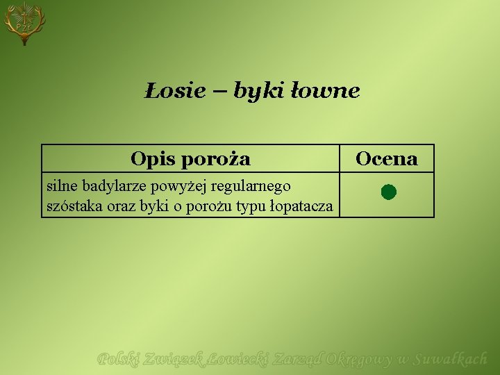 Łosie – byki łowne Opis poroża silne badylarze powyżej regularnego szóstaka oraz byki o