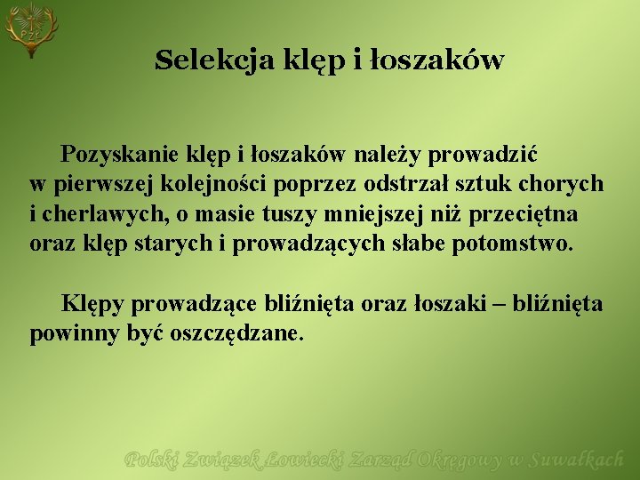 Selekcja klęp i łoszaków Pozyskanie klęp i łoszaków należy prowadzić w pierwszej kolejności poprzez