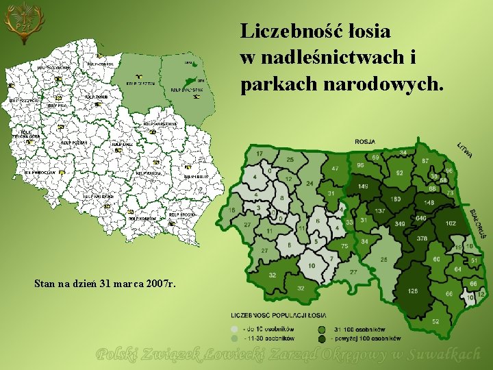 Liczebność łosia w nadleśnictwach i parkach narodowych. Stan na dzień 31 marca 2007 r.
