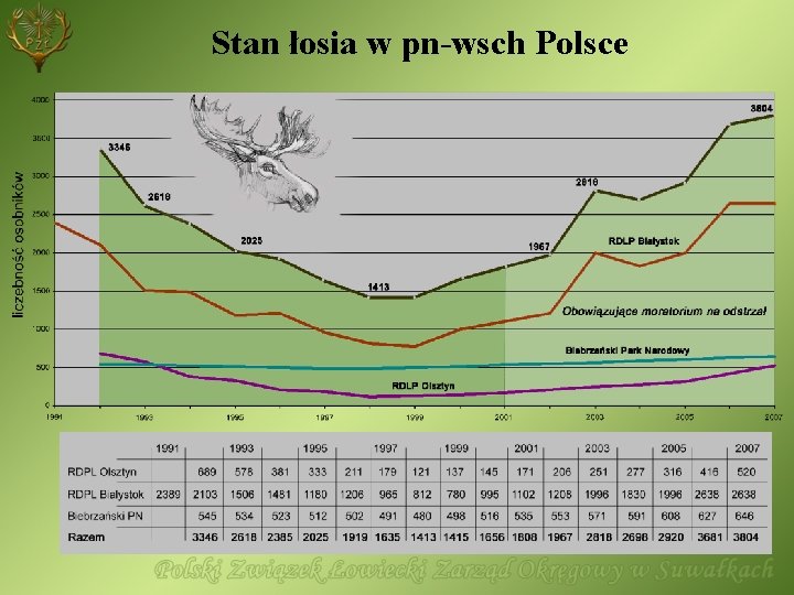 Stan łosia w pn-wsch Polsce 