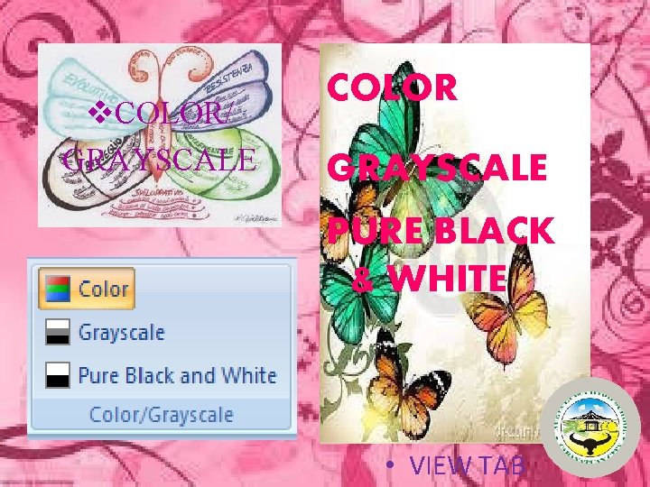 v. COLOR/ GRAYSCALE COLOR GRAYSCALE PURE BLACK & WHITE • VIEW TAB 