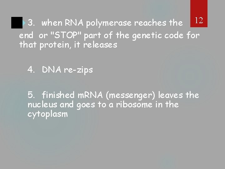 when RNA polymerase reaches the 12 end or "STOP" part of the genetic code