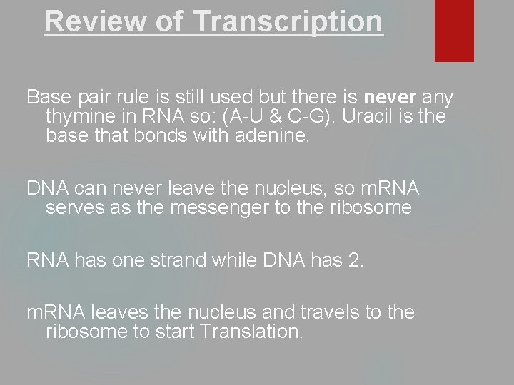 Review of Transcription Base pair rule is still used but there is never any