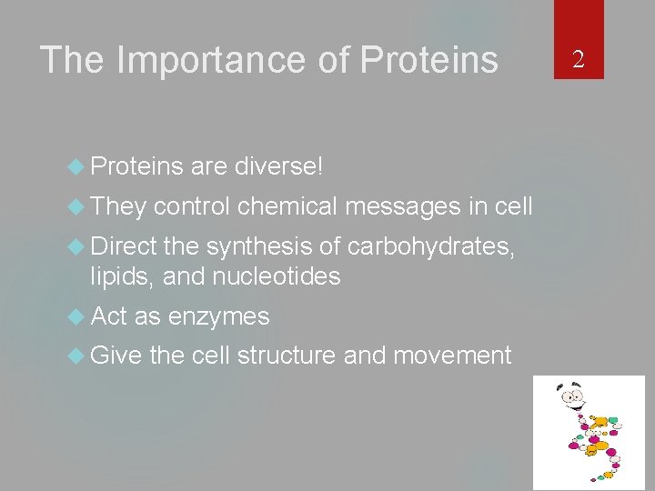The Importance of Proteins They are diverse! control chemical messages in cell Direct the