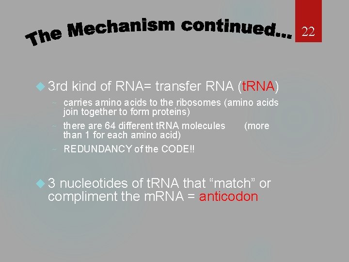 22 3 rd kind of RNA= transfer RNA (t. RNA) carries amino acids to