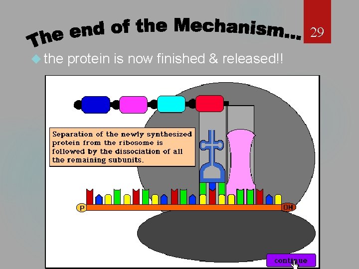 29 the protein is now finished & released!! 