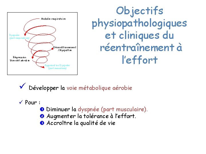 Maladie respiratoire Dyspnée (part respiratoire) Déconditionnement /Myopathie Régression Voie mét. aérobie Aggravation Dyspnée Objectifs