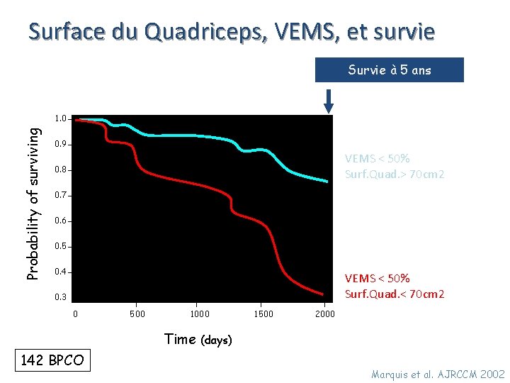 Surface du Quadriceps, VEMS, et survie Survie à 5 ans Probability of surviving 1.