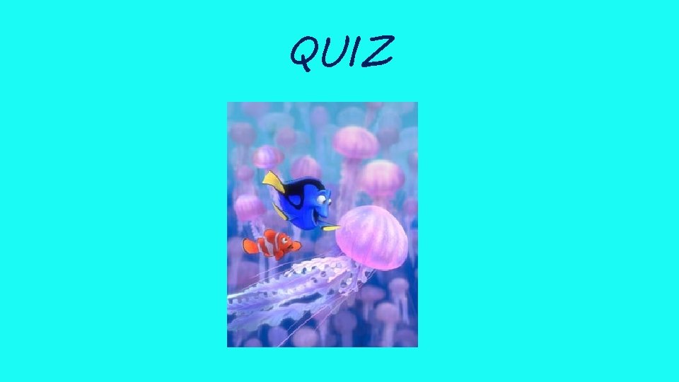 QUIZ 