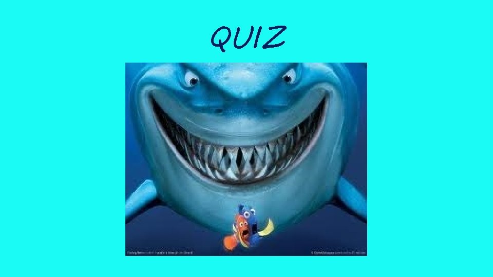 QUIZ 