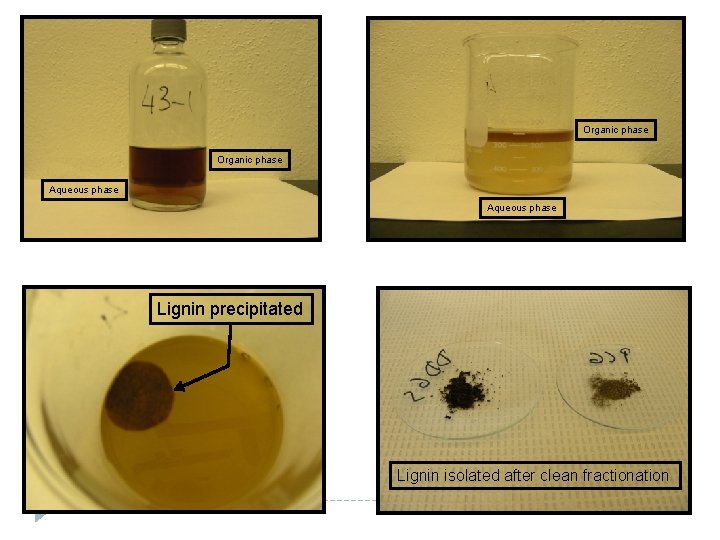 Organic phase Aqueous phase Lignin precipitated Lignin isolated after clean fractionation 