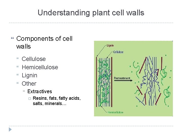 Understanding plant cell walls Components of cell walls Cellulose Hemicellulose Lignin Other Extractives Resins,