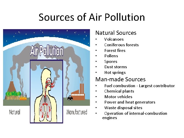 Sources of Air Pollution Natural Sources • • Volcanoes Coniferous forests Forest fires Pollens