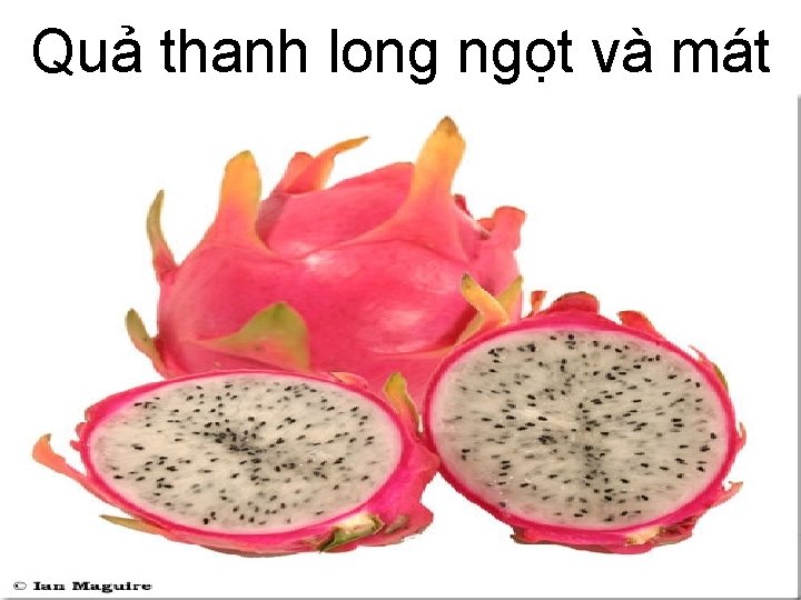 Quả thanh long ngọt và mát 