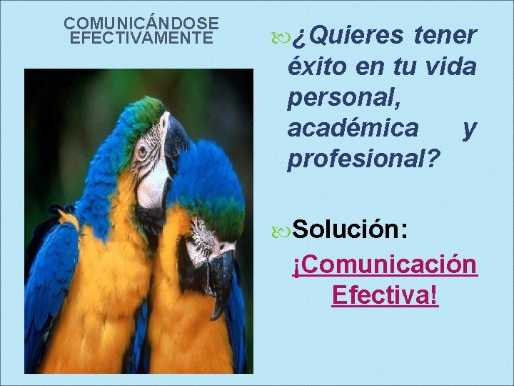 COMUNICÁNDOSE EFECTIVAMENTE ¿Quieres tener éxito en tu vida personal, académica y profesional? Solución: ¡Comunicación