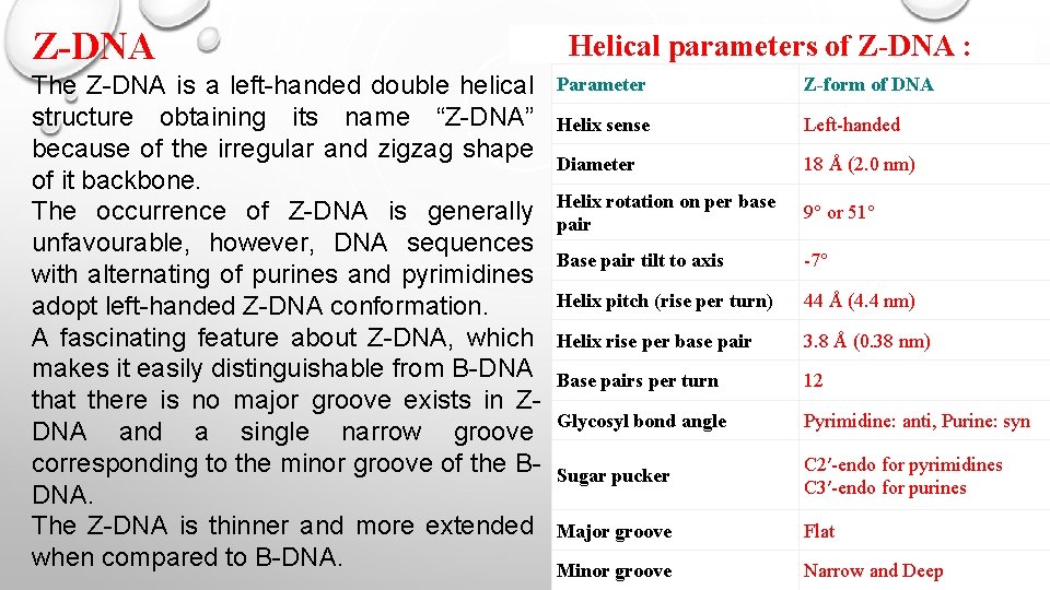 Z-DNA The Z-DNA is a left-handed double helical structure obtaining its name “Z-DNA” because Z-DNA The Z-DNA is a left-handed double helical structure obtaining its name “Z-DNA” because