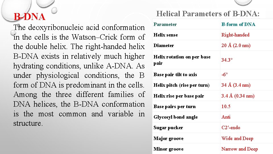 B-DNA The deoxyribonucleic acid conformation in the cells is the Watson–Crick form of the B-DNA The deoxyribonucleic acid conformation in the cells is the Watson–Crick form of the