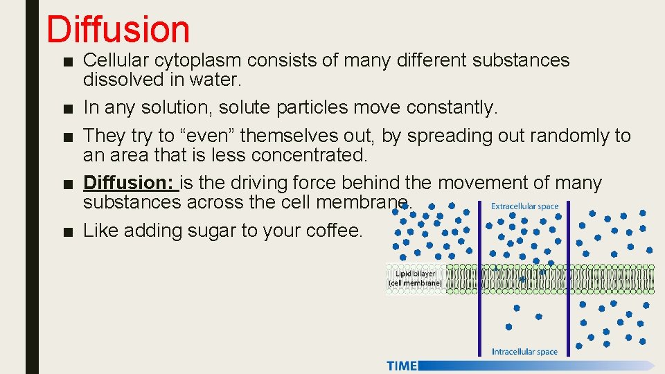 Diffusion ■ Cellular cytoplasm consists of many different substances dissolved in water. ■ In