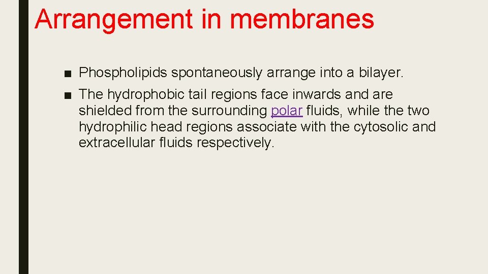 Arrangement in membranes ■ Phospholipids spontaneously arrange into a bilayer. ■ The hydrophobic tail