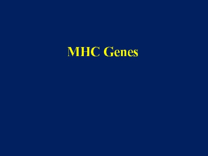 MHC Genes 